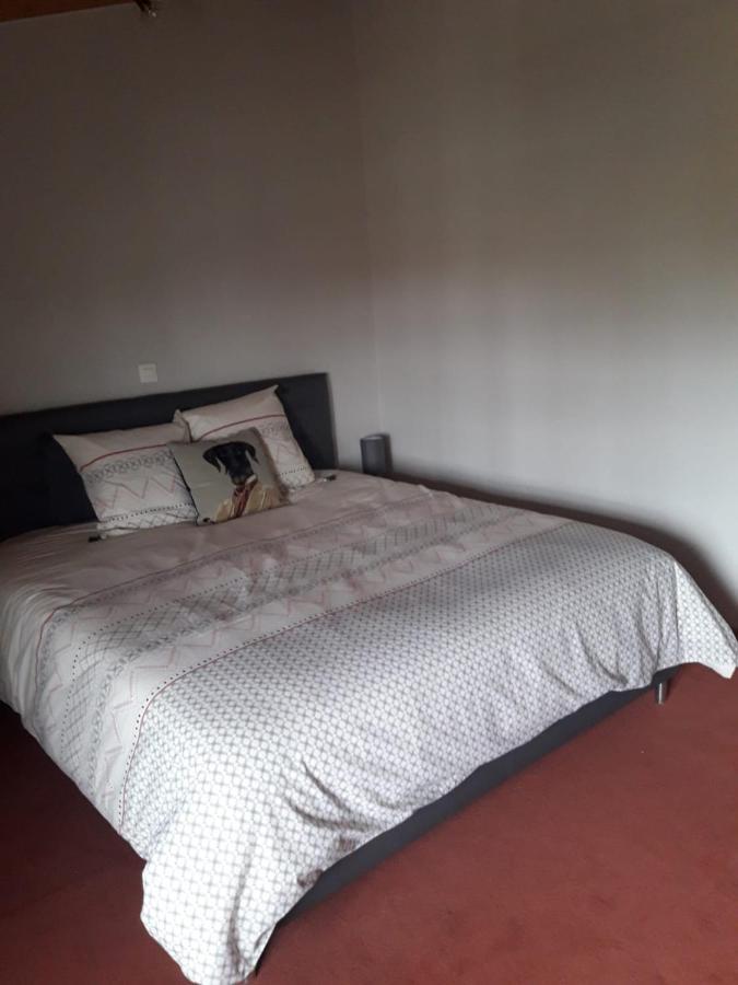 Bed and Breakfast La Ferme Du Puits Carre Lamasquere Экстерьер фото